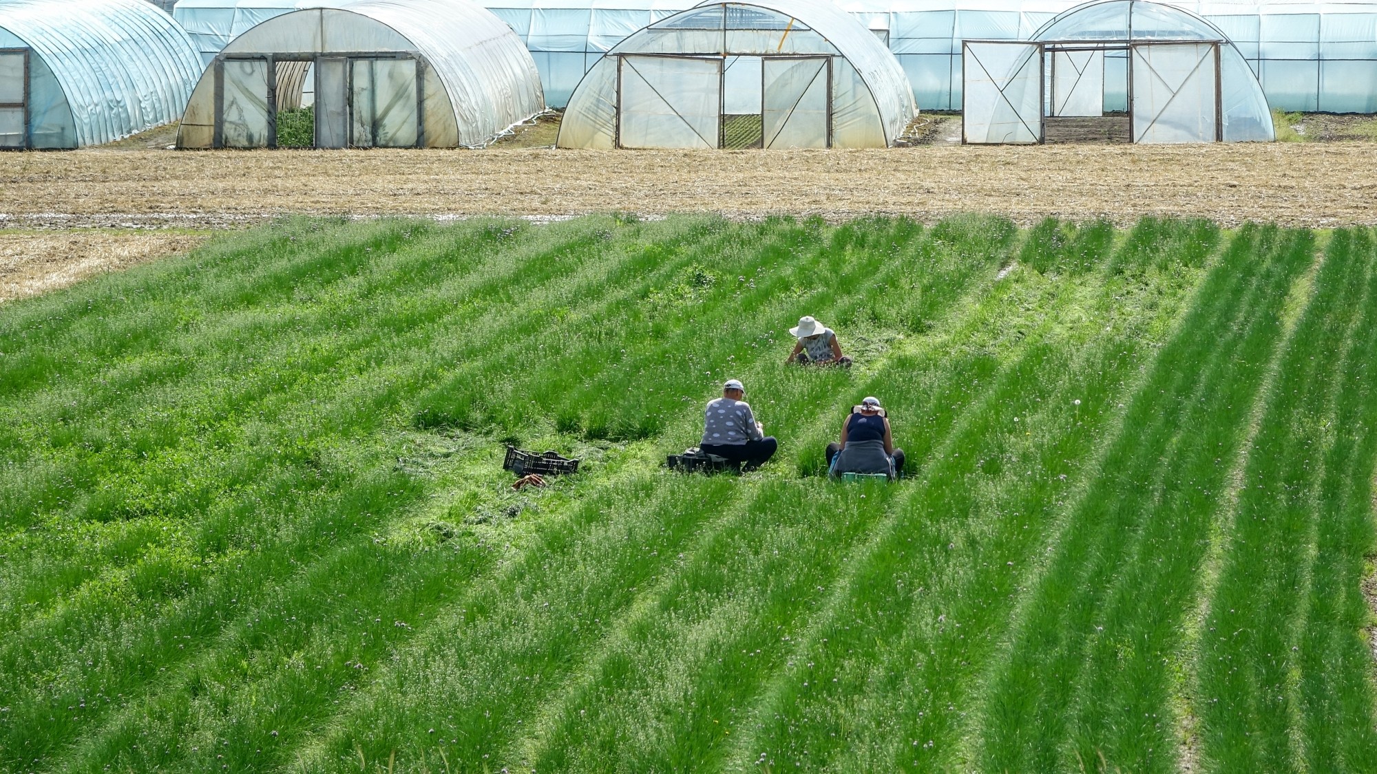 Maj w obiektywie - zdjęcie 50