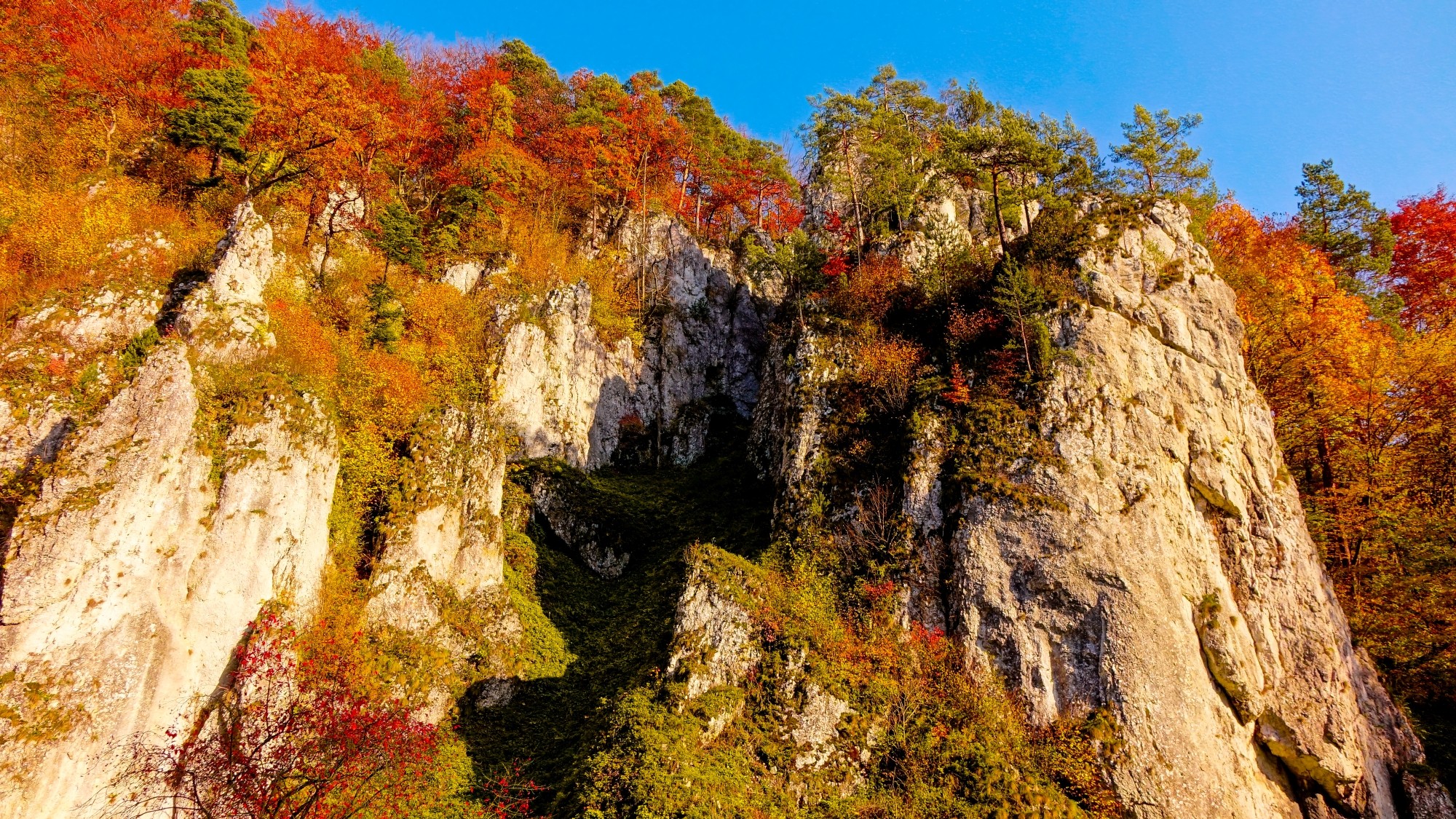 Kraina jesieni - zdjęcie 26