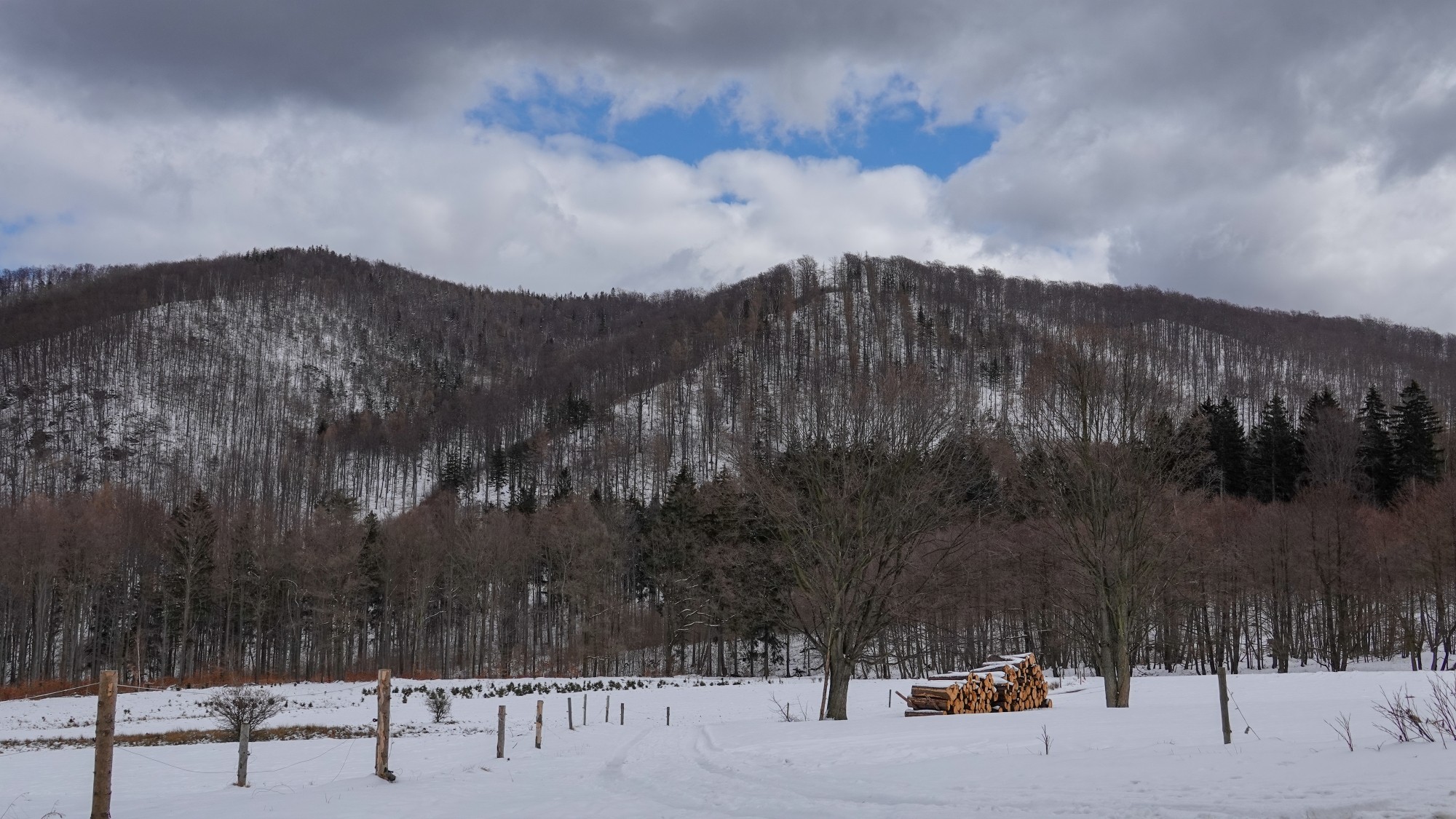 Góry Sowie, Suche i Kamienne - zdjęcie 23