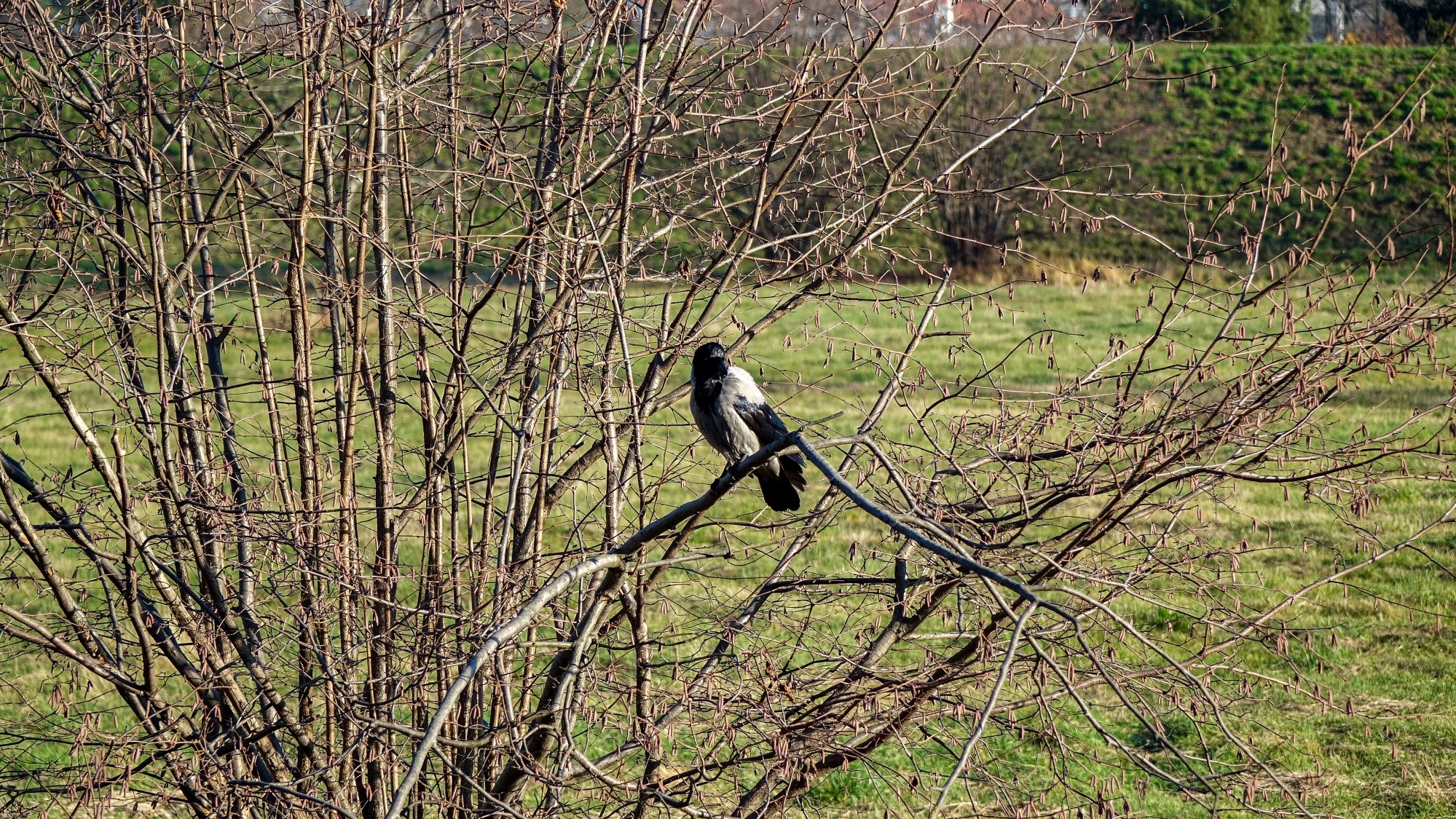 Listopad w obiektywie - zdjęcie 26
