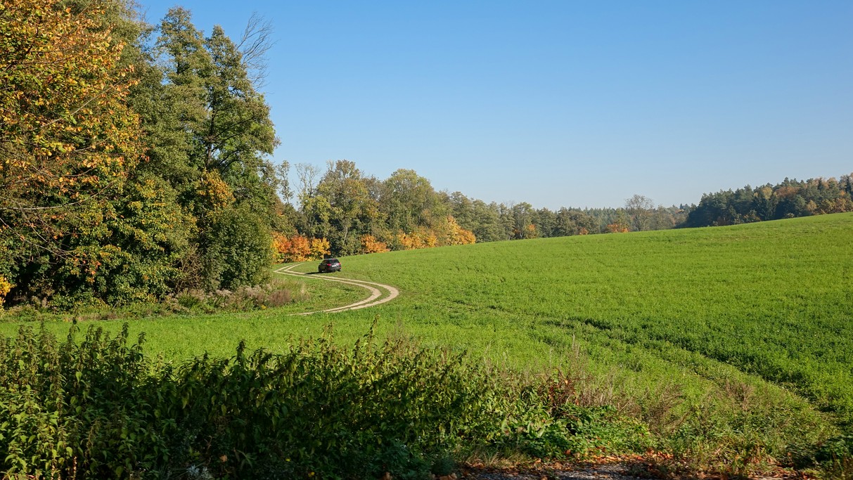 Październik w obiektywie - zdjęcie 60