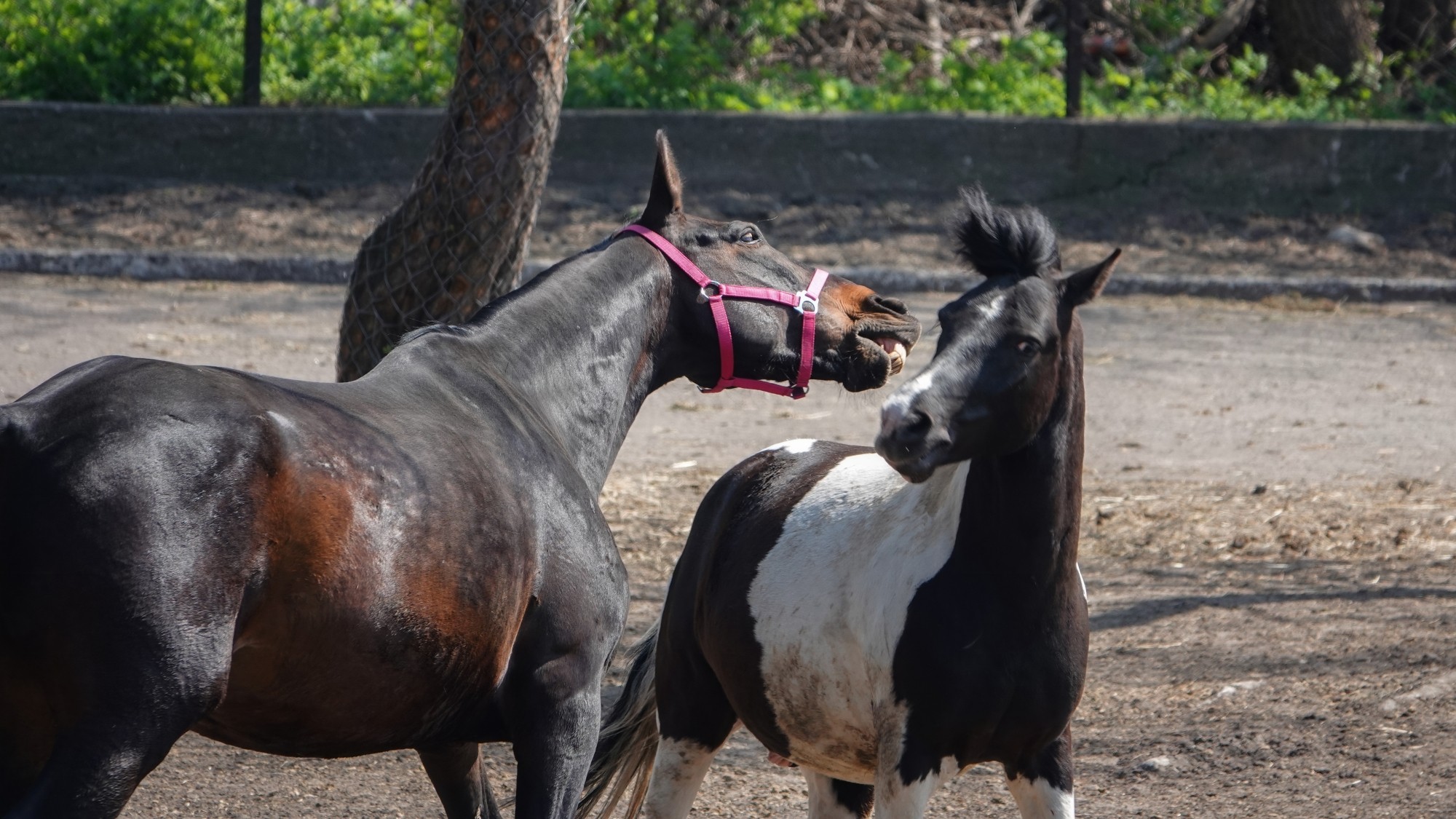 100 najpiękniejszych zdjęć 2021 roku - zdjęcie 40