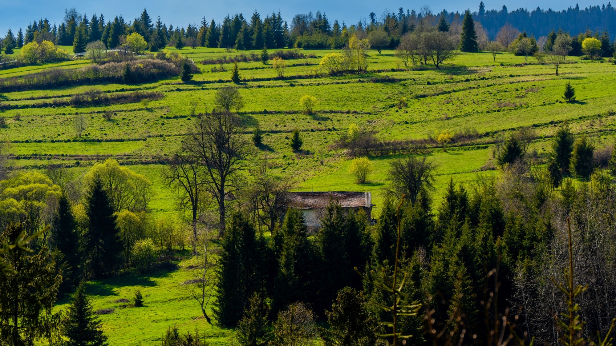 Zachwycający maj - zdjęcie 16