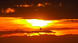 20.03.2021 06:00 Za tydzień Słońce wzejdzie i zajdzie godzinę później. Jeśli wstajecie przed 6:00, nie będziecie zadowoleni