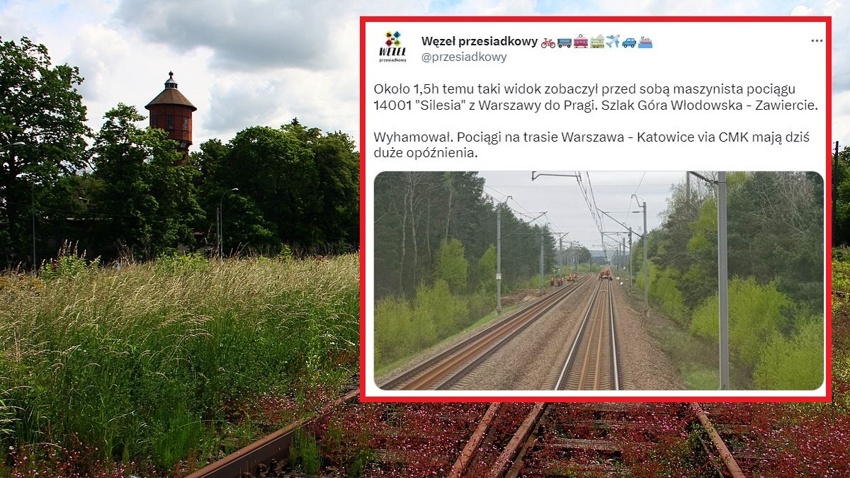 Bory Dolne: Robotnicy znajdowali się na torach tuż przed jadącym pociągiem