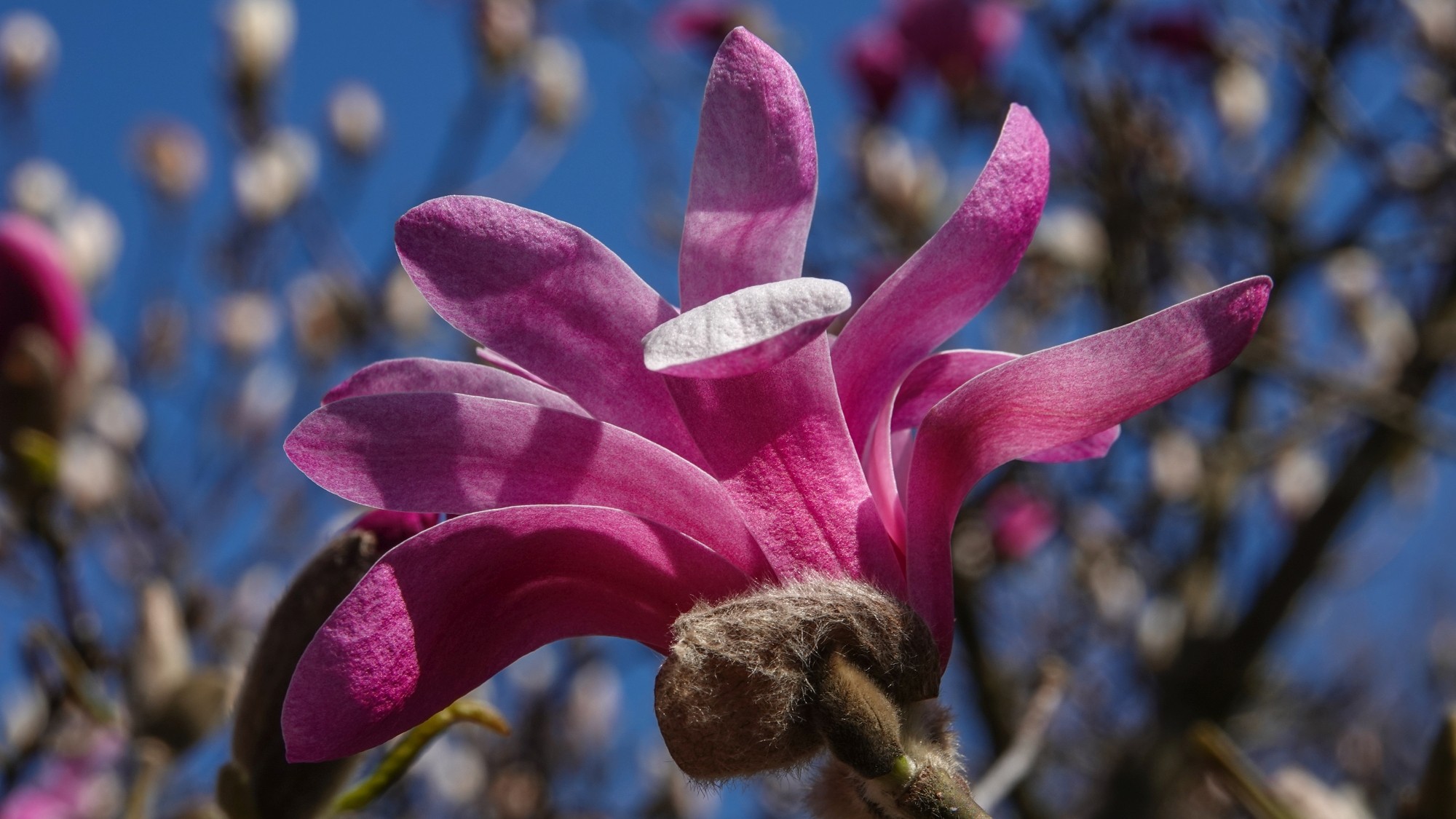 W maju jak w raju - zdjęcie 11