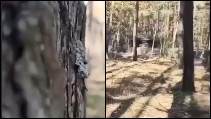 Wojna w Ukrainie. Rosyjska armia odpierana. Nagranie z lasu spod Kijowa