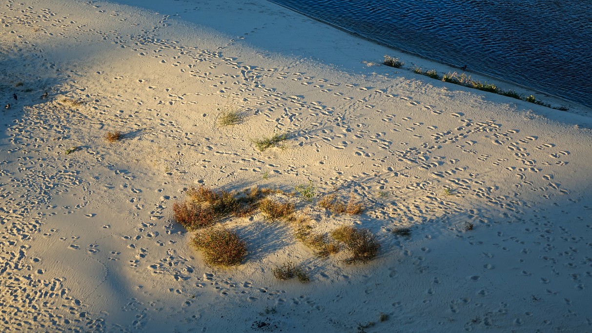 Wrzesień w obiektywie - zdjęcie 13