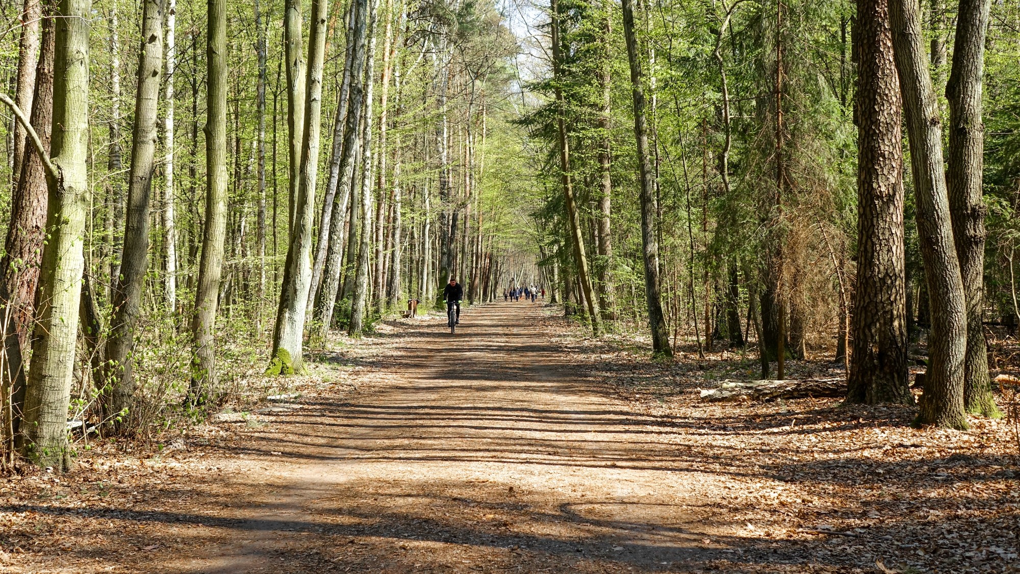 Podróż przez wiosenną Polskę - zdjęcie 33