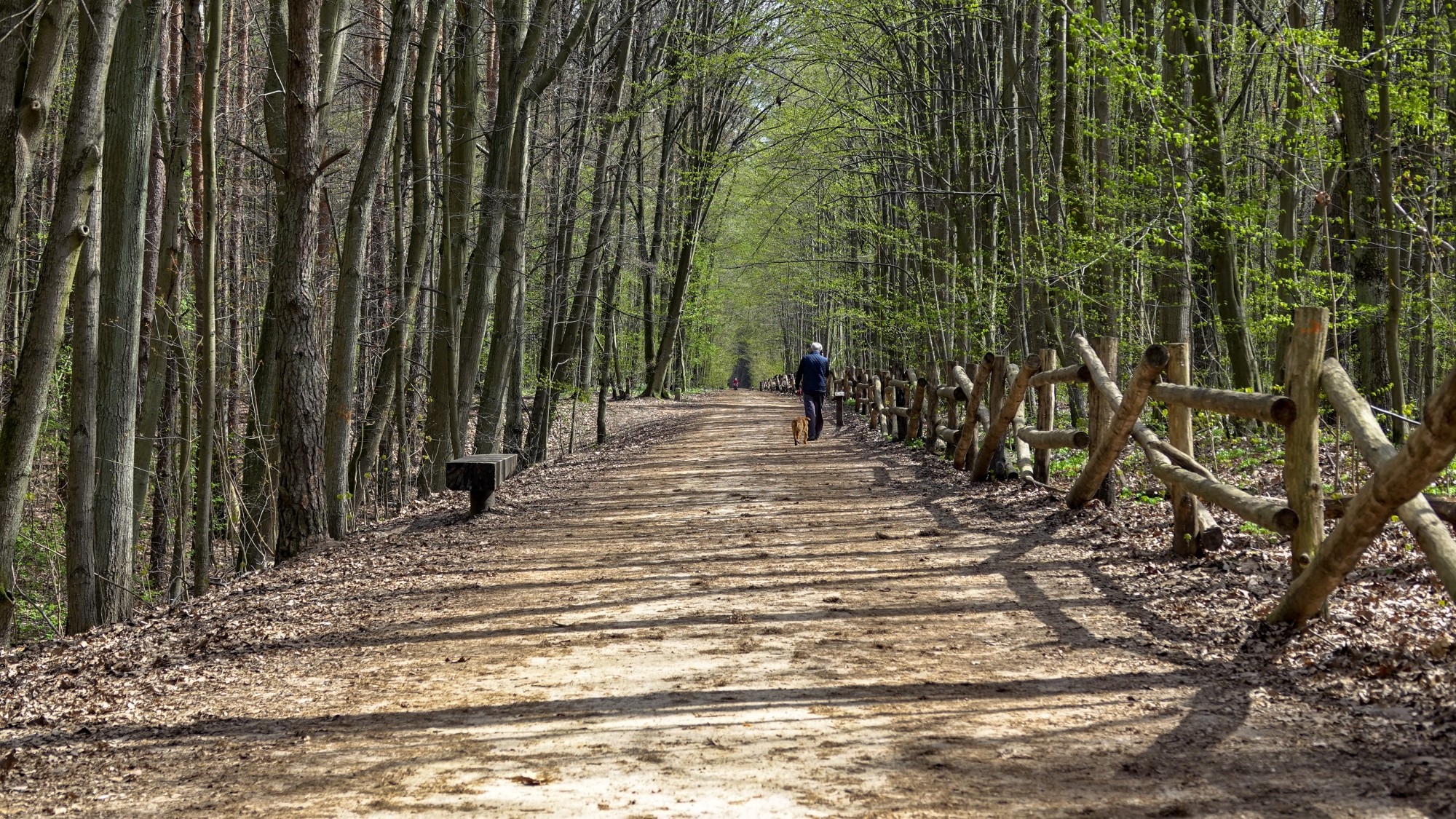 W maju jak w raju - zdjęcie 44