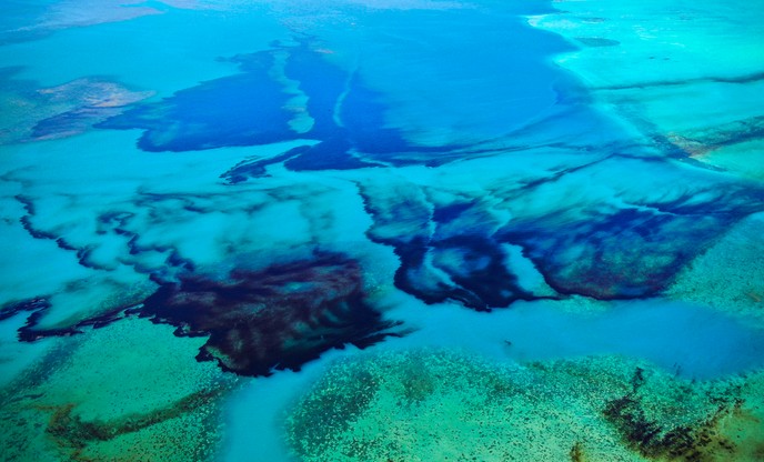 Katastrofa ekologiczna na Mauritiusie. Koncern przeprasza za wyciek setek ton ropy