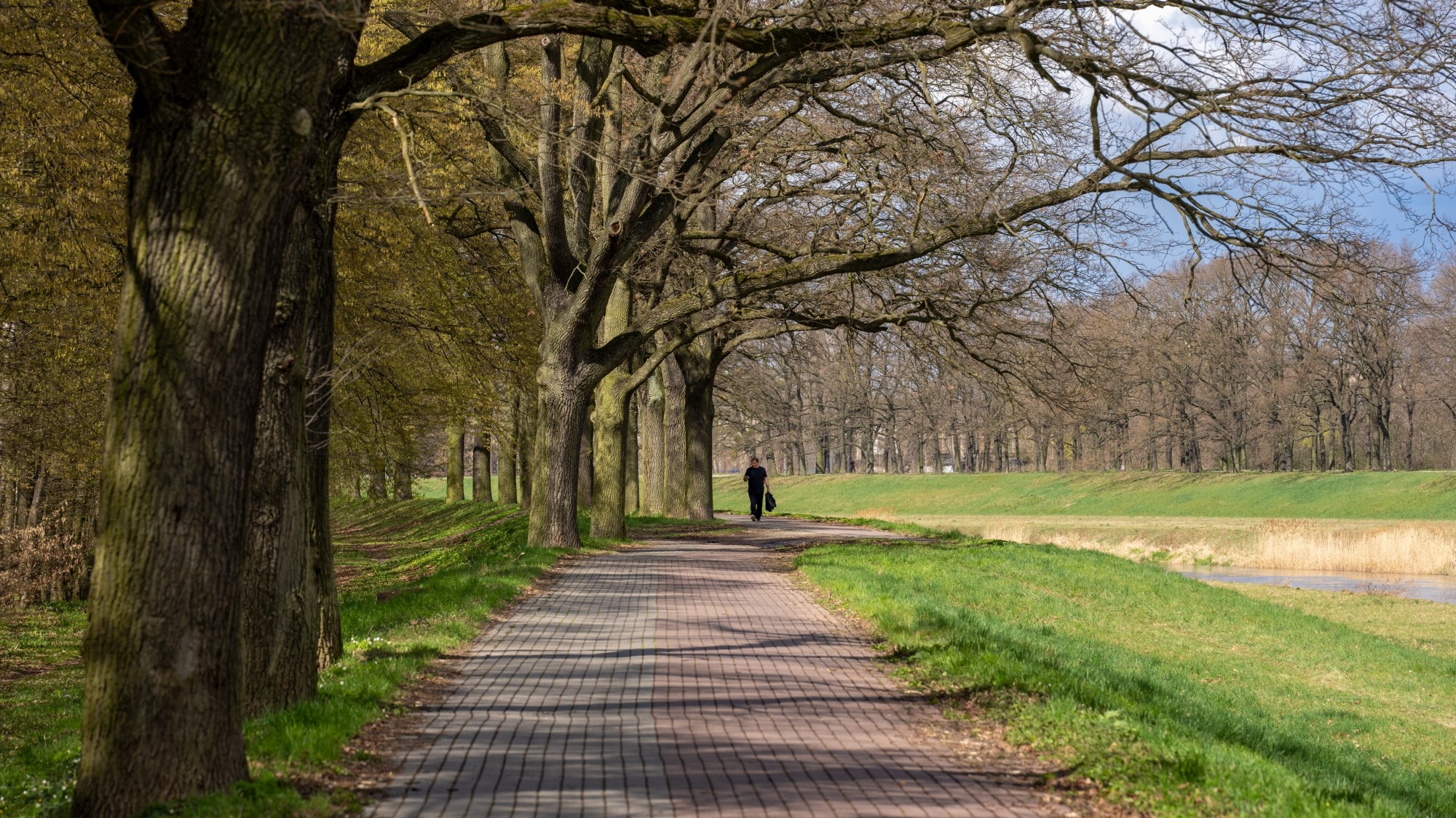 Miejska przyroda - zdjęcie 4