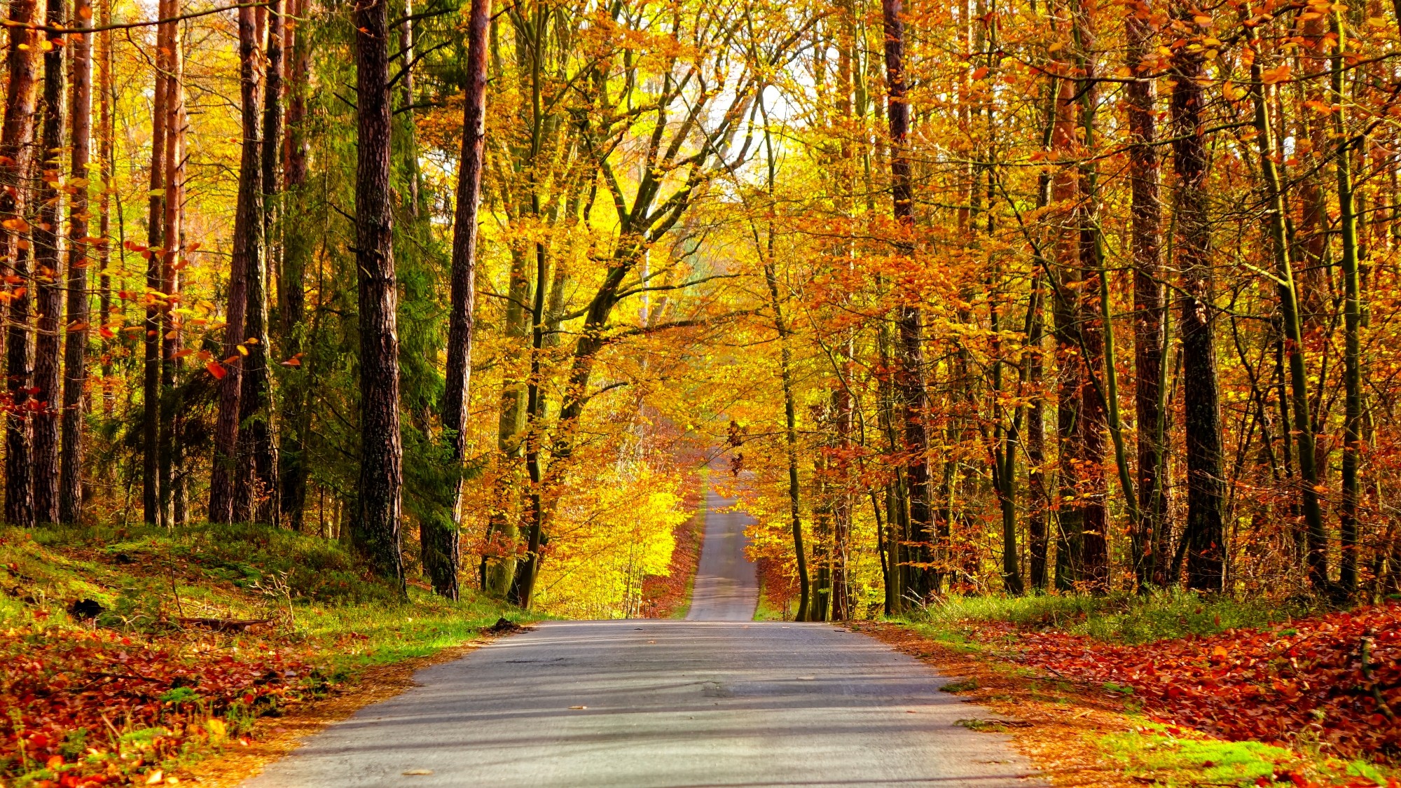 Kraina jesieni - zdjęcie 23