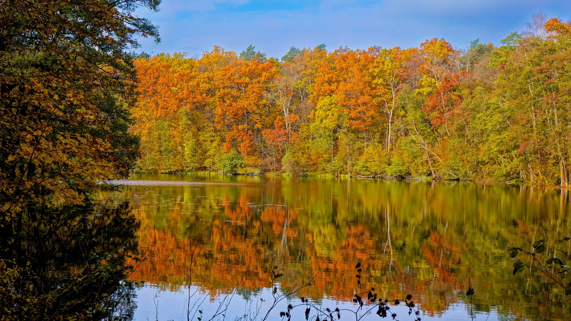 Kraina jesieni - zdjęcie 12