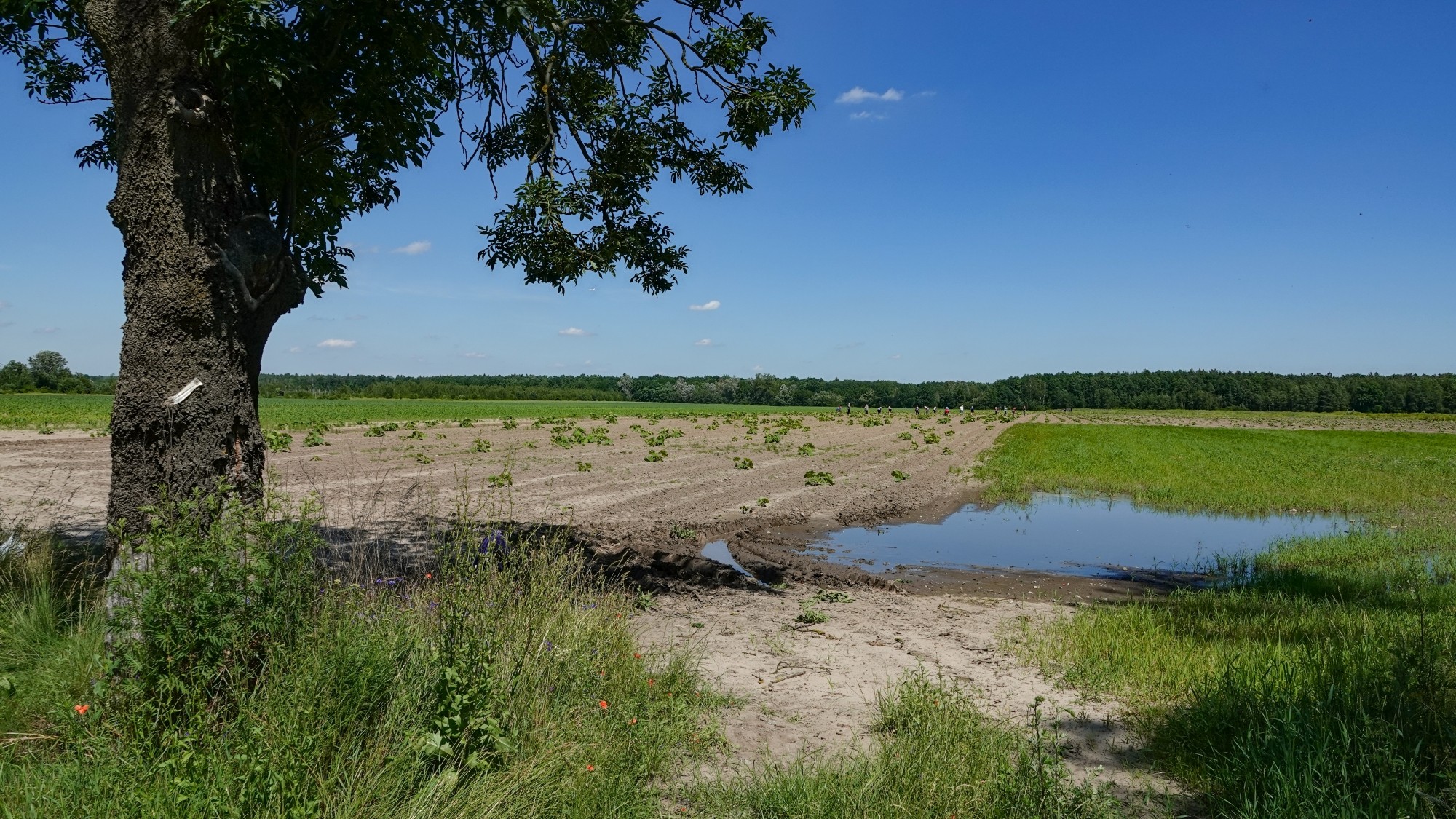 Letnie klimaty na łonie natury - zdjęcie 36