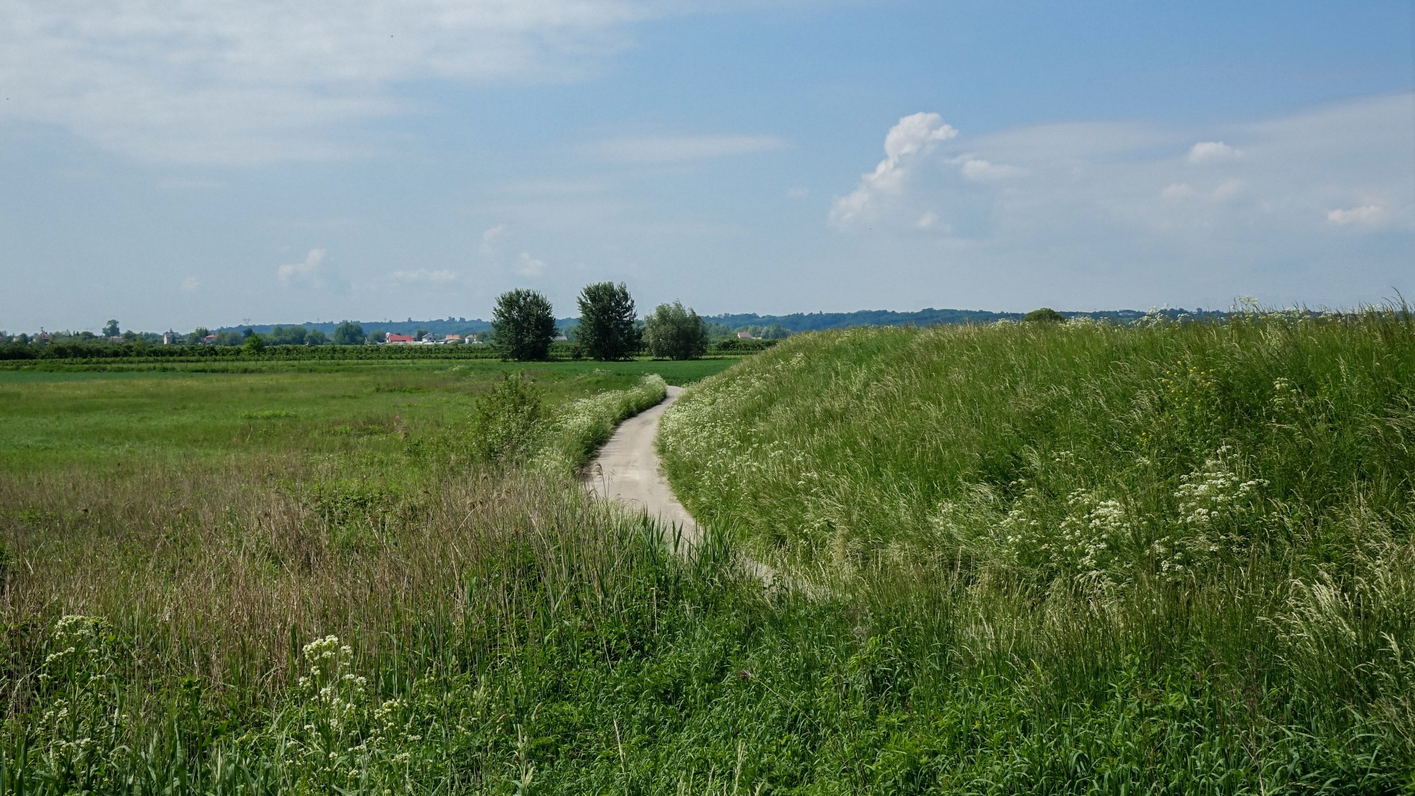 Maj w obiektywie - zdjęcie 52