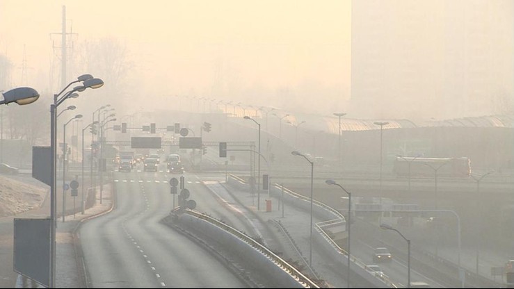 Alergia na smog istnieje. Badania krakowskich naukowców