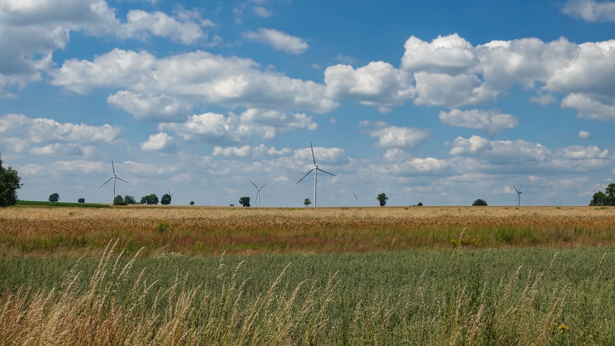 Podróż przez polską prowincję - zdjęcie 60