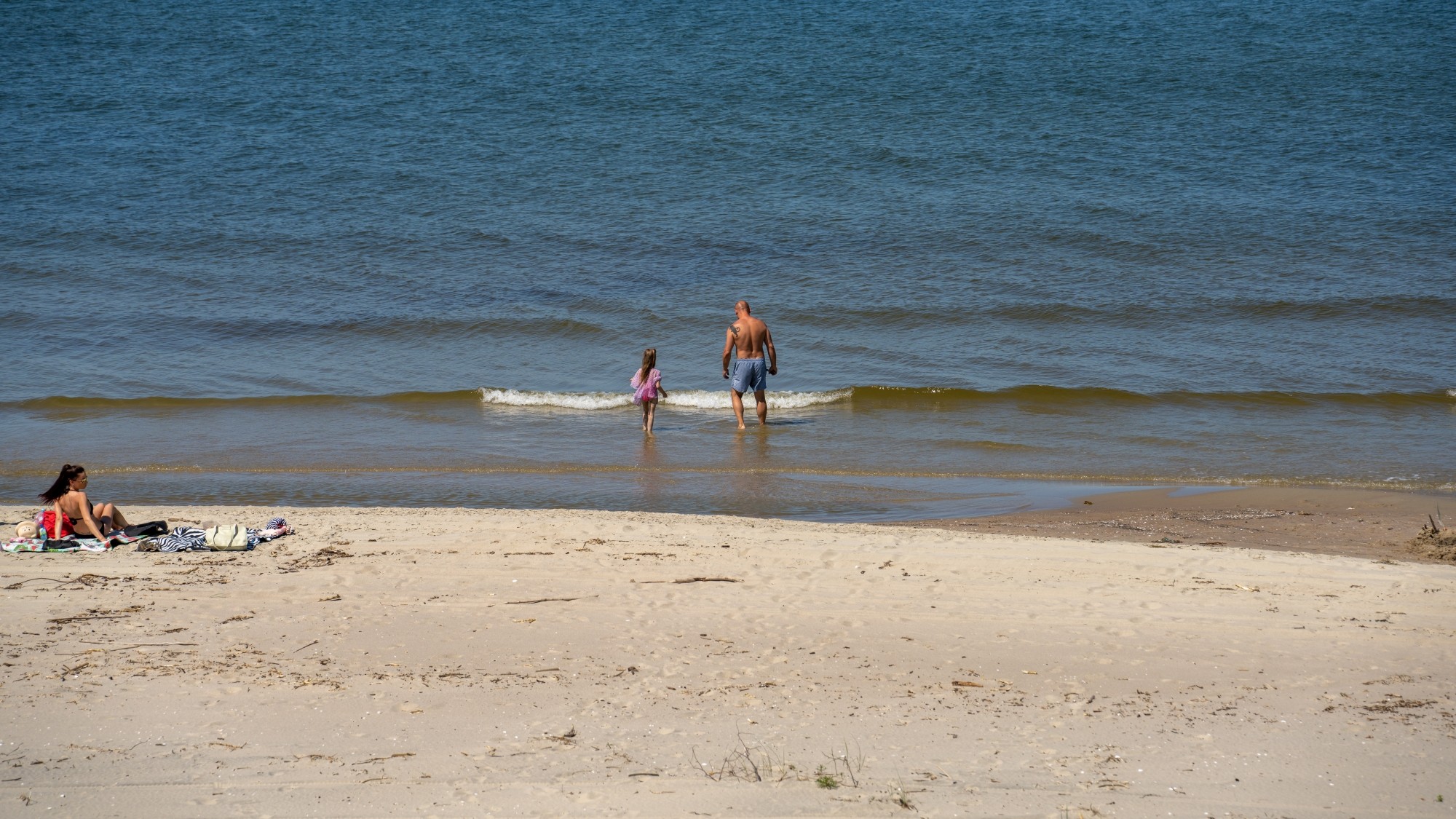 Kolory lata - zdjęcie 50