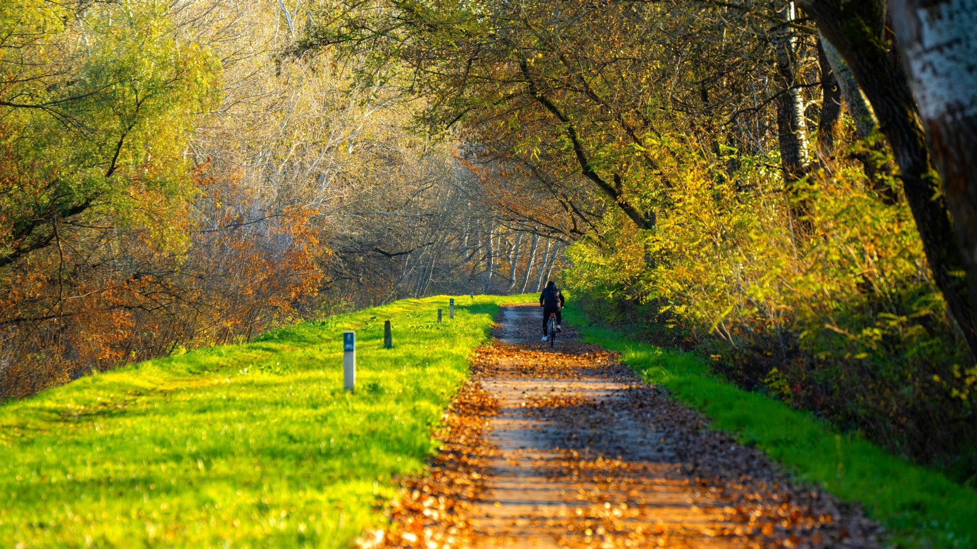Piękny listopad - zdjęcie 30