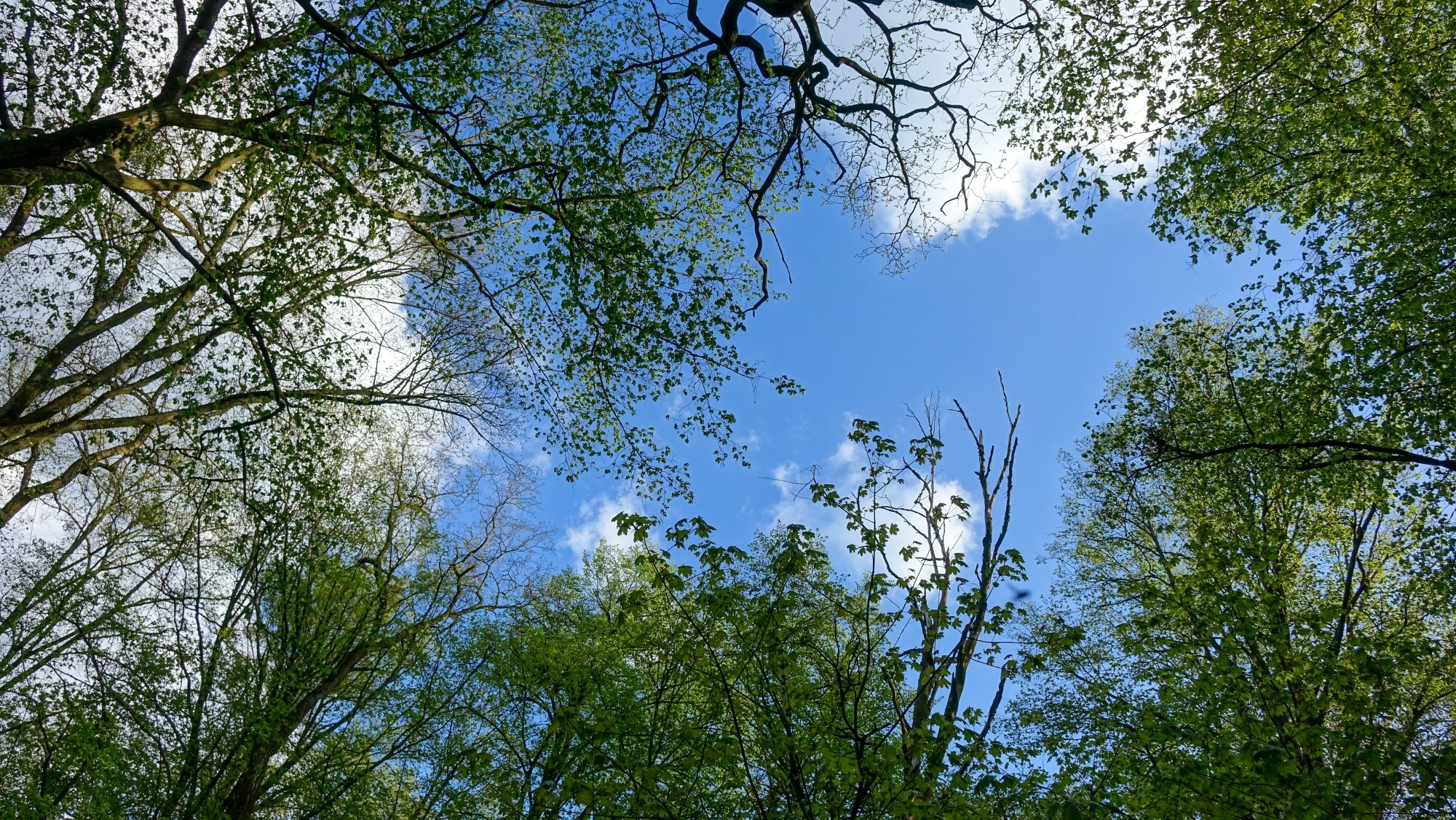 Podróż przez wiosenną Polskę - zdjęcie 38