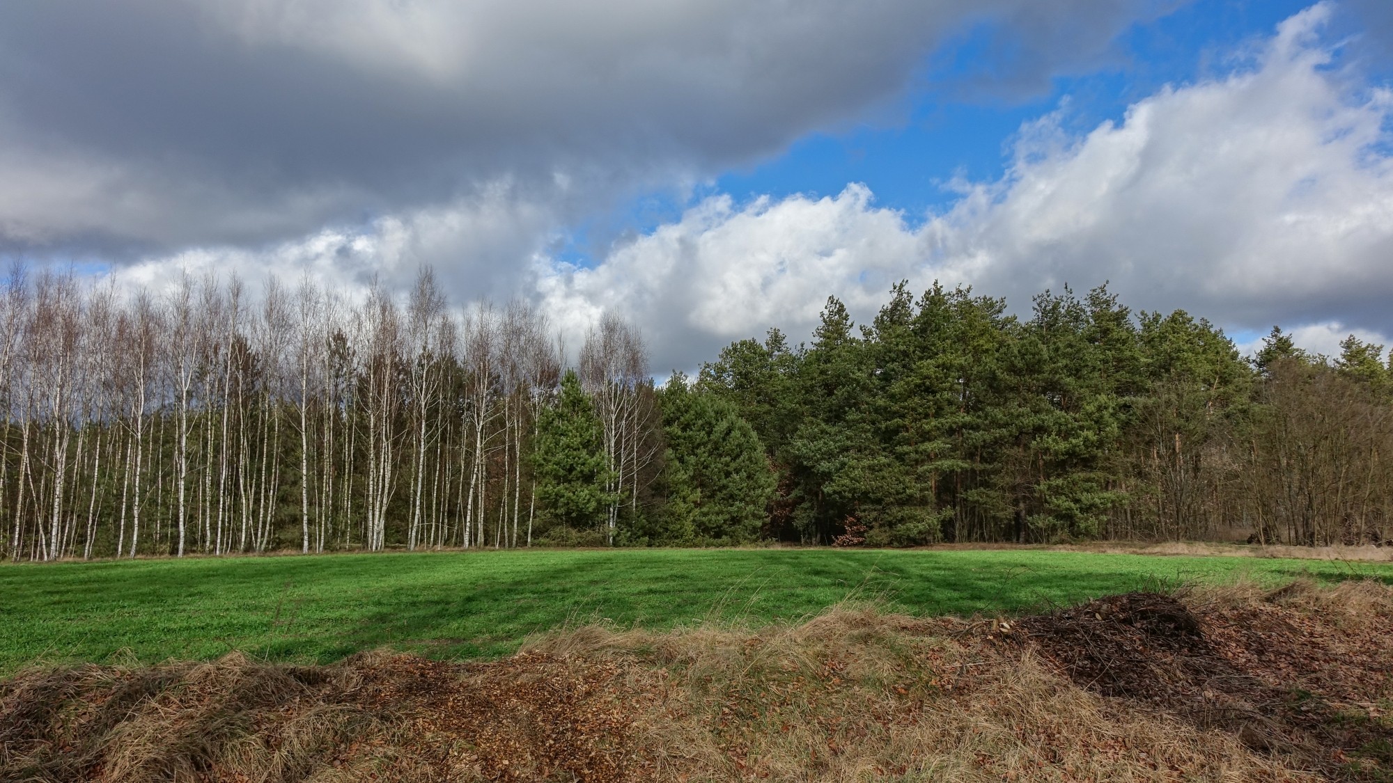 Najcieplejsza zima w historii - zdjęcie 20