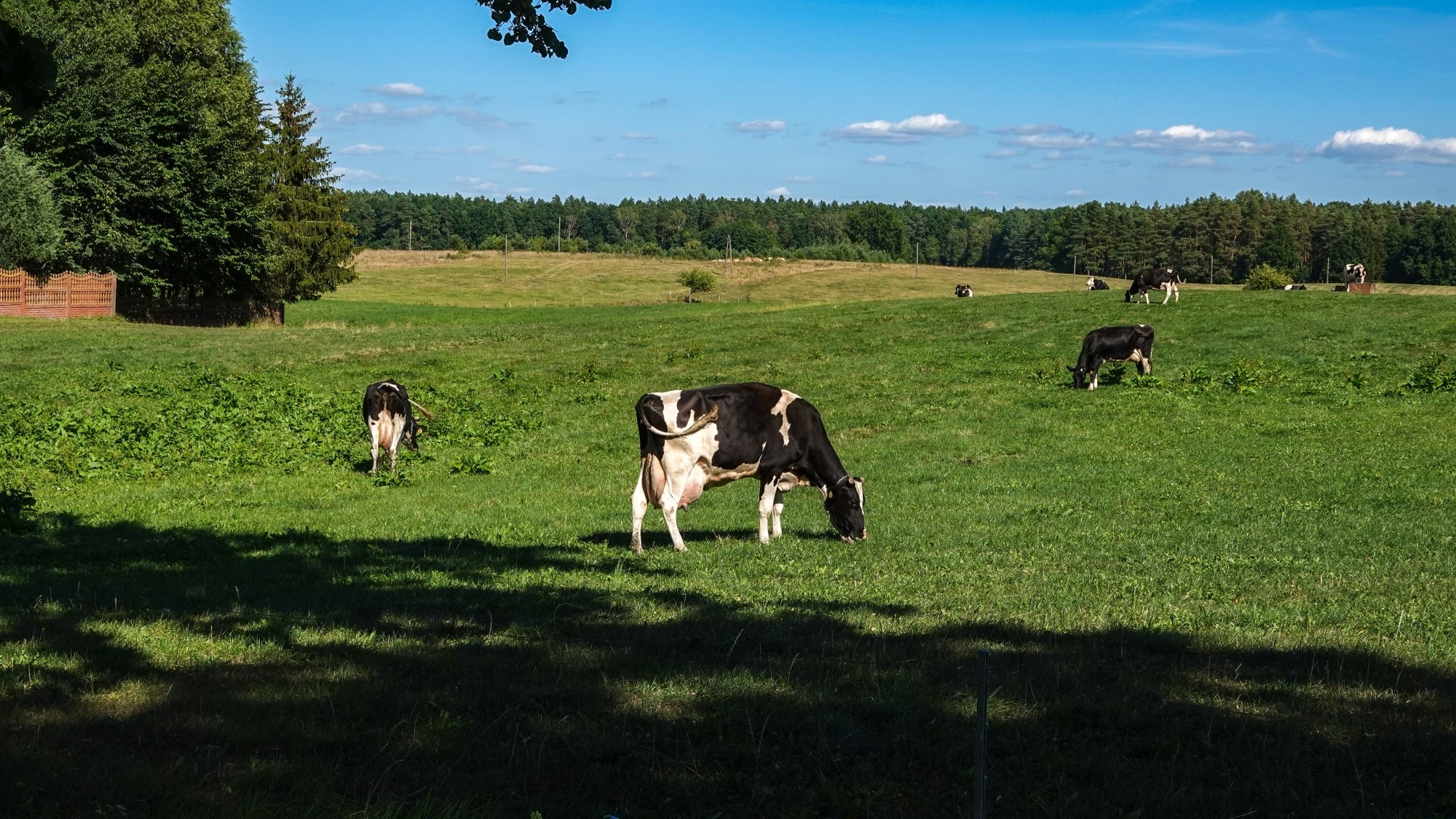 Na pożegnanie lata - zdjęcie 19