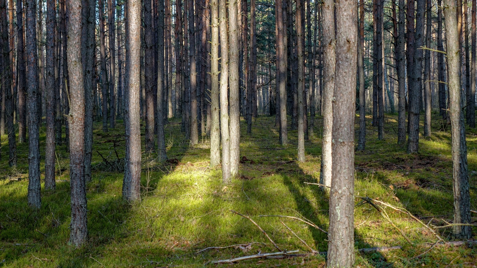 Najcieplejsza zima w historii - zdjęcie 16