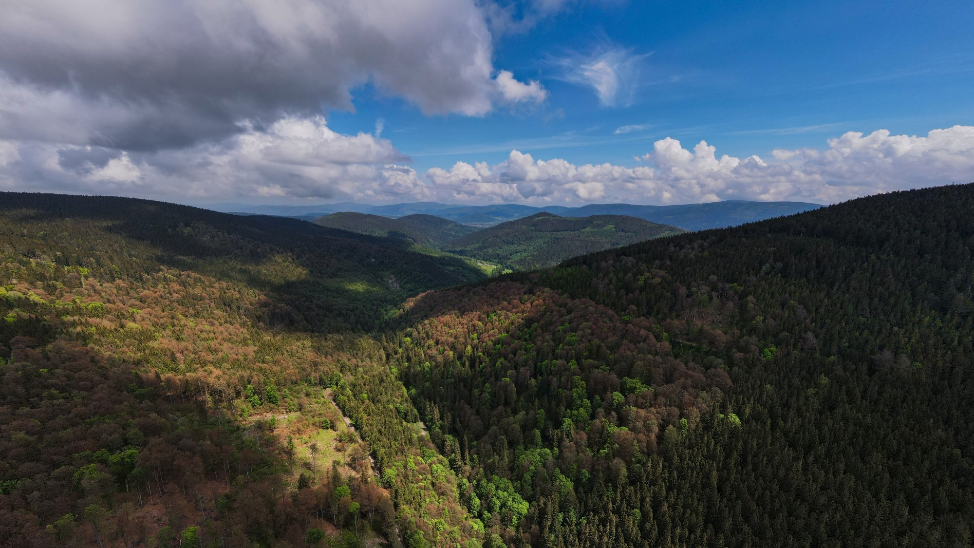 Piękne letnie krajobrazy z lotu ptaka - zdjęcie 6