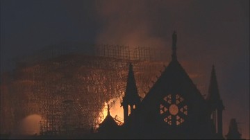 "To był symbol Paryża, Europy, chrześcijaństwa". Prof. Nowicka o pożarze katedry Notre Dame