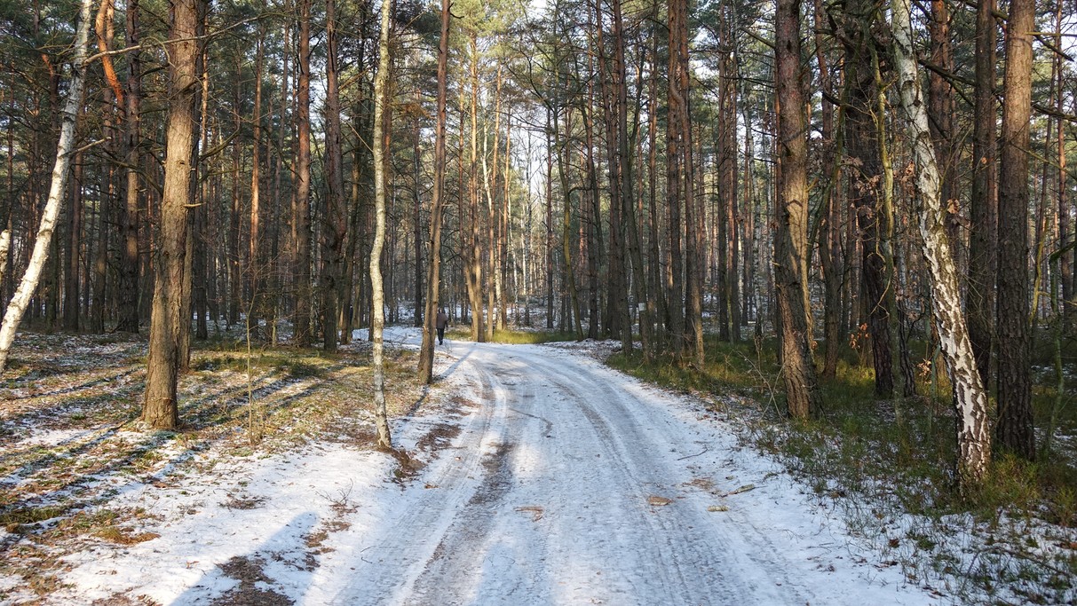 Styczeń w obiektywie - zdjęcie 24