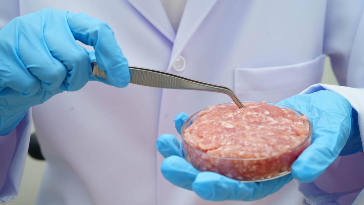 Badania weterynaryjne mięsa zapewniają bezpieczeństwo spożycia