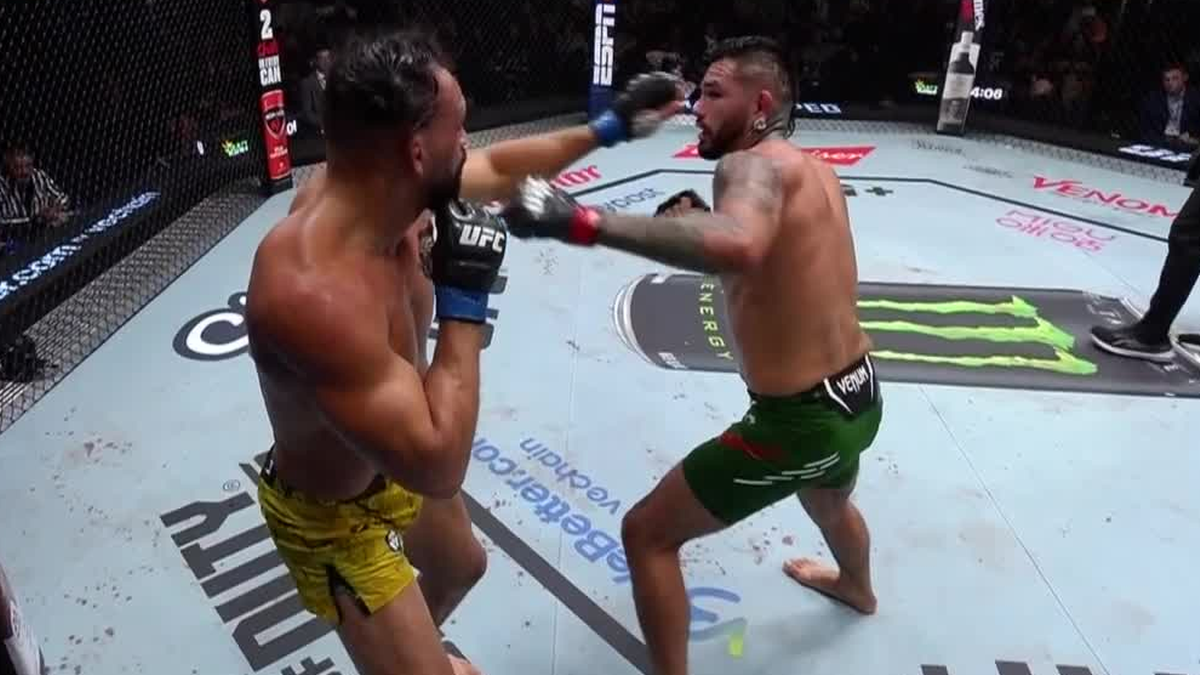 UFC: Hernandez - Pereira. Wyniki i skróty walk (WIDEO)