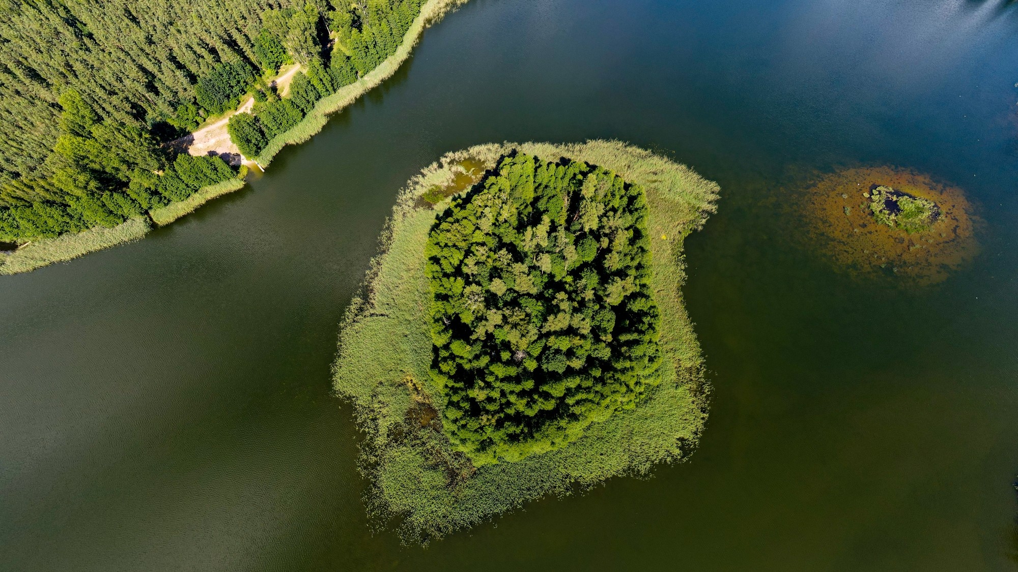 Cuda polskiej natury - zdjęcie 24