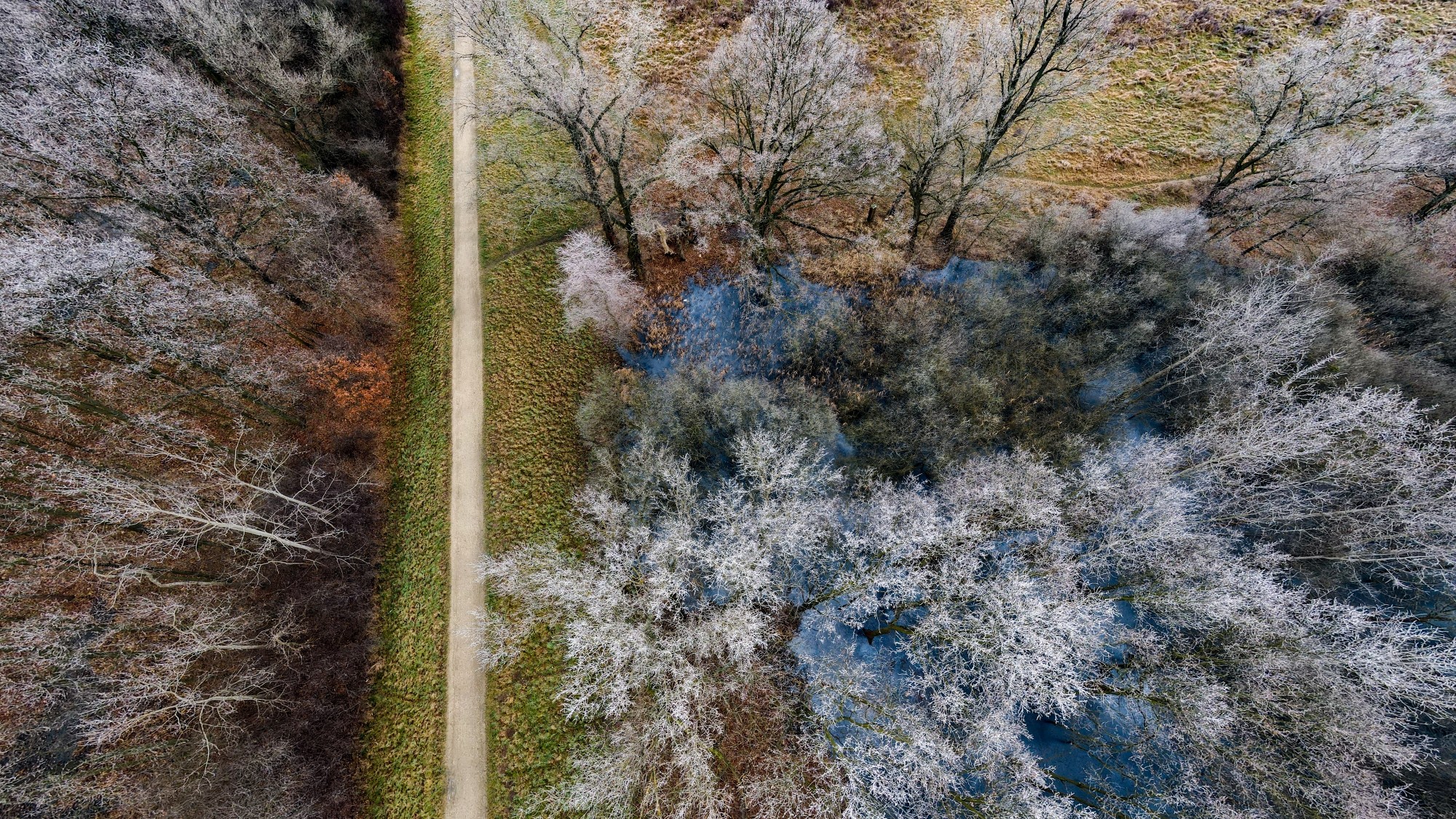 Cuda polskiej natury - zdjęcie 21
