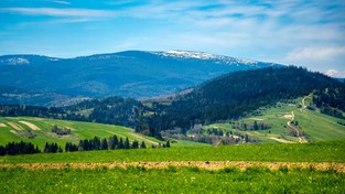 13.05.2023 05:50 Wiosna dotarła w góry. Zobacz, jak pięknie wyglądają krajobrazy