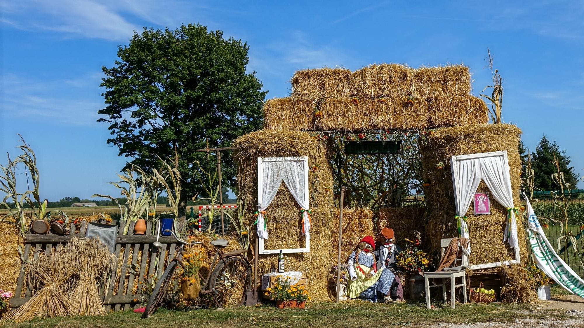 Polskie krajobrazy w 2019 roku - zdjęcie 37