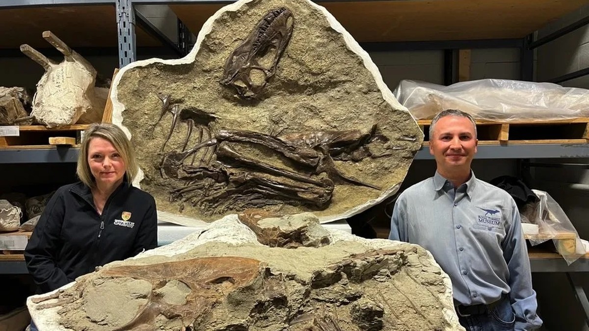 Odkryto skamieniałości dinozaura wraz z jego żołądkiem. "To nie były tylko potwory"