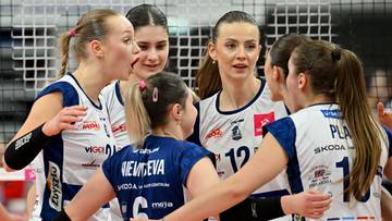 Tauron Liga: #VolleyWrocław - MOYA Radomka Radom. Relacja live i wynik na żywo
