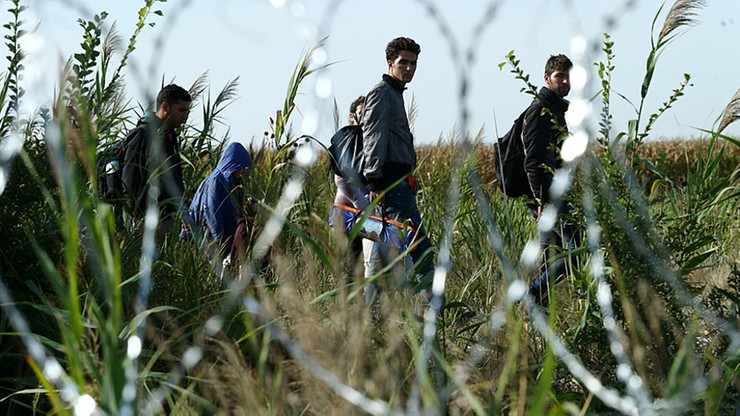 Przemycali migrantów z Turcji do Rumunii. Zarzuty dla członków gangu
