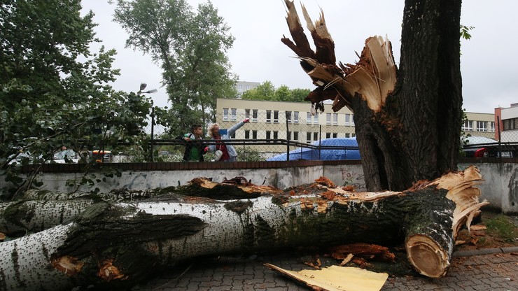 Nawałnice nad Polską: ofiary, ranni, tysiące powalonych drzew