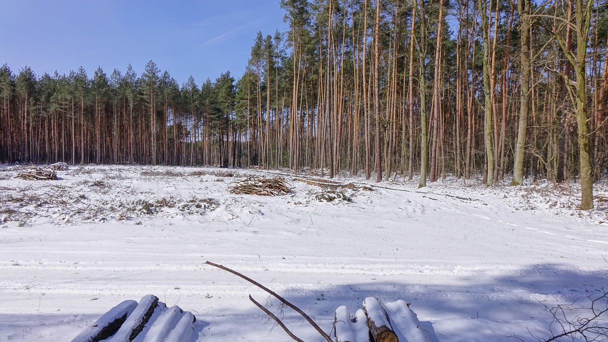 Marzec w obiektywie - zdjęcie 43
