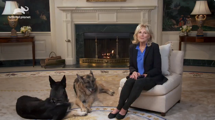 Psy pary prezydenckiej wróciły do Białego Domu