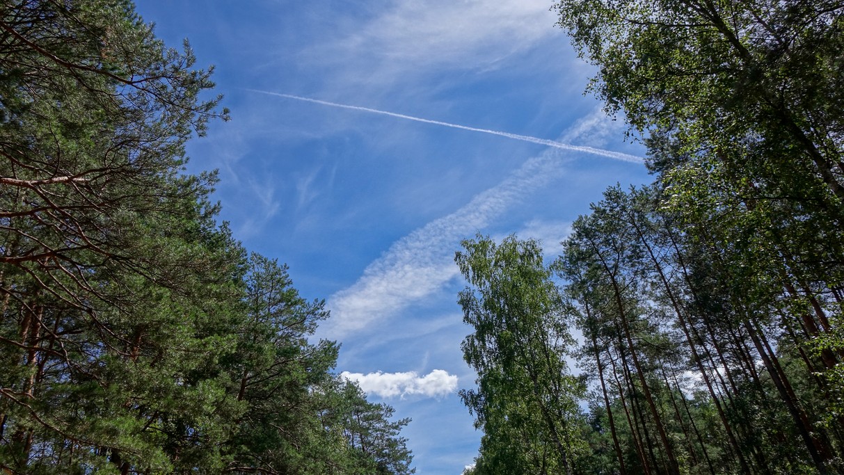 Sierpień w obiektywie - zdjęcie 30