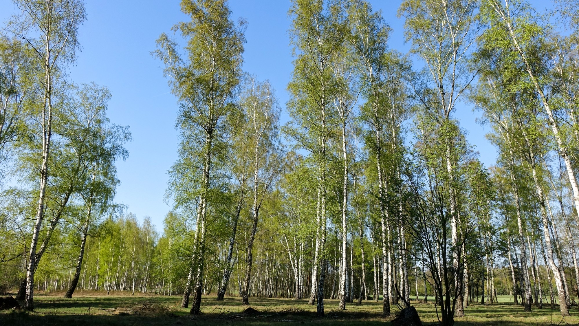 Podróż przez wiosenną Polskę - zdjęcie 39
