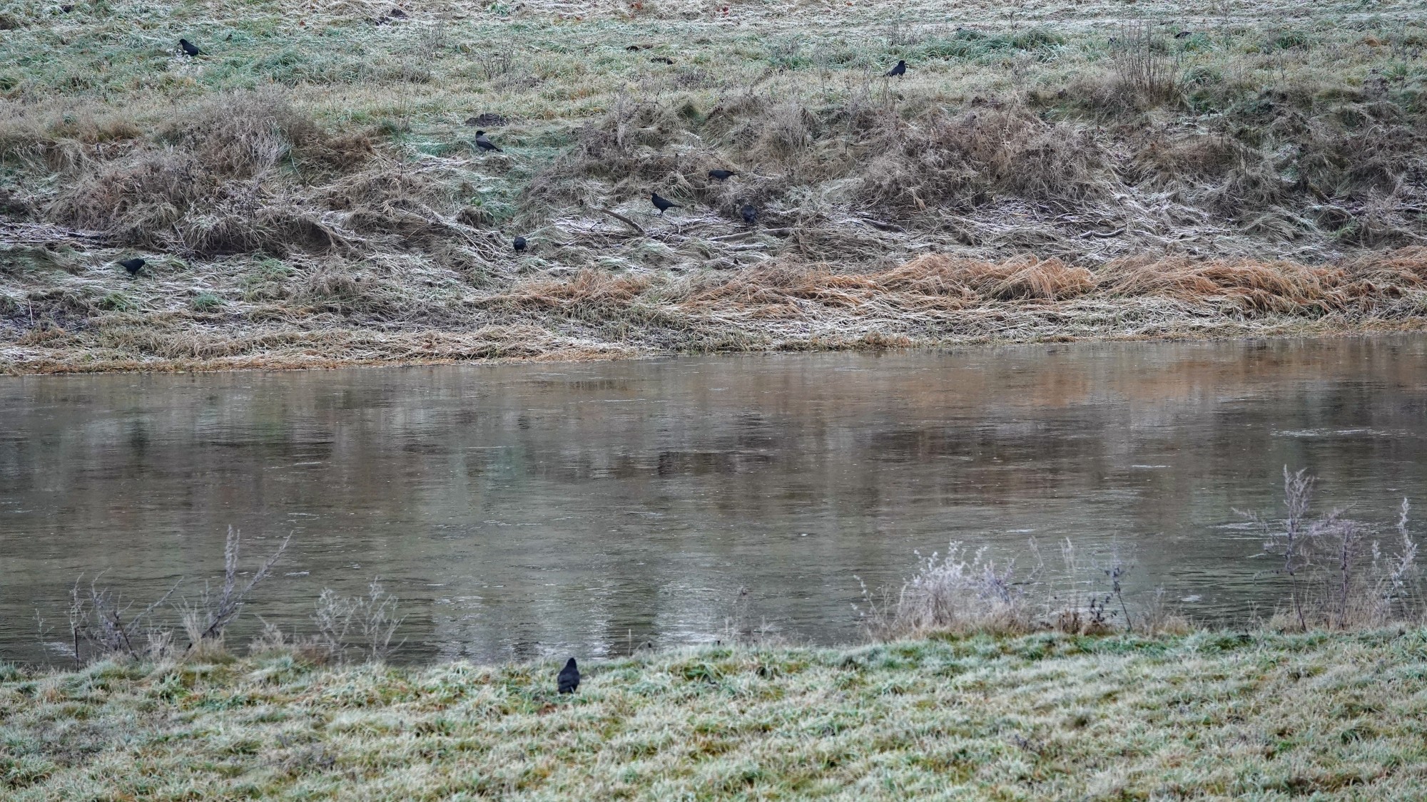 Szron pod lupą - zdjęcie 52