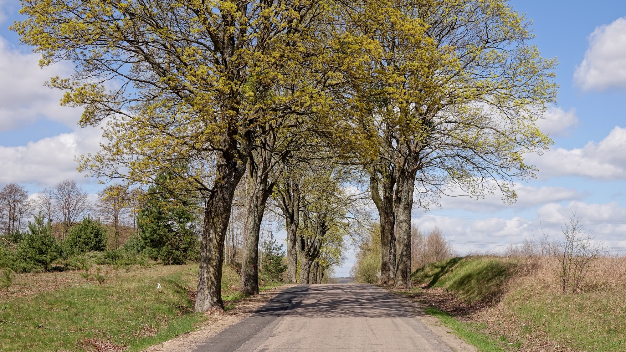 Mazury wiosną - zdjęcie 32