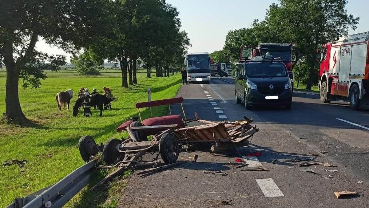 Borowina. Zderzenie auta z furmanką. Poszkodowane dwie osoby i dwa konie