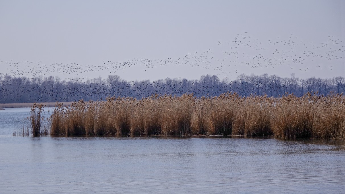 Marzec w obiektywie - zdjęcie 40