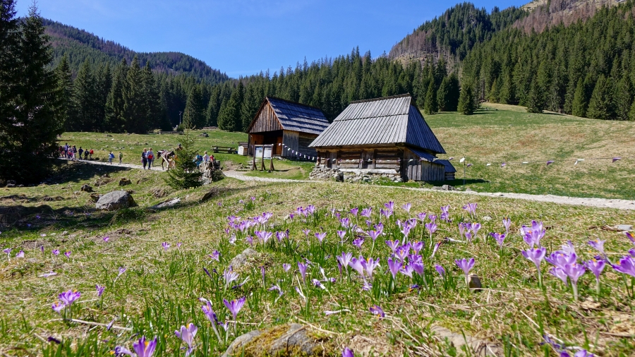 24.04.2018 00:00 Przed majówką w Tatrach